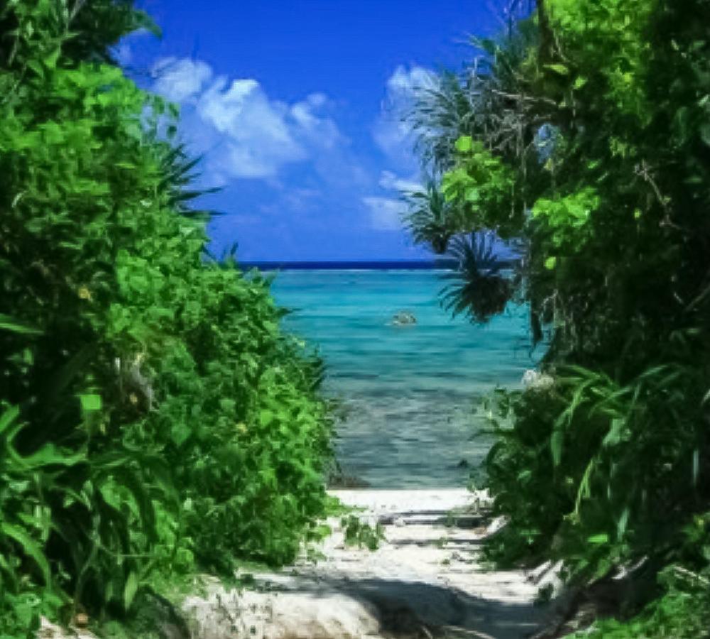 Ishigaki  Palm Villa Ishigakijima Yugafu מראה חיצוני תמונה