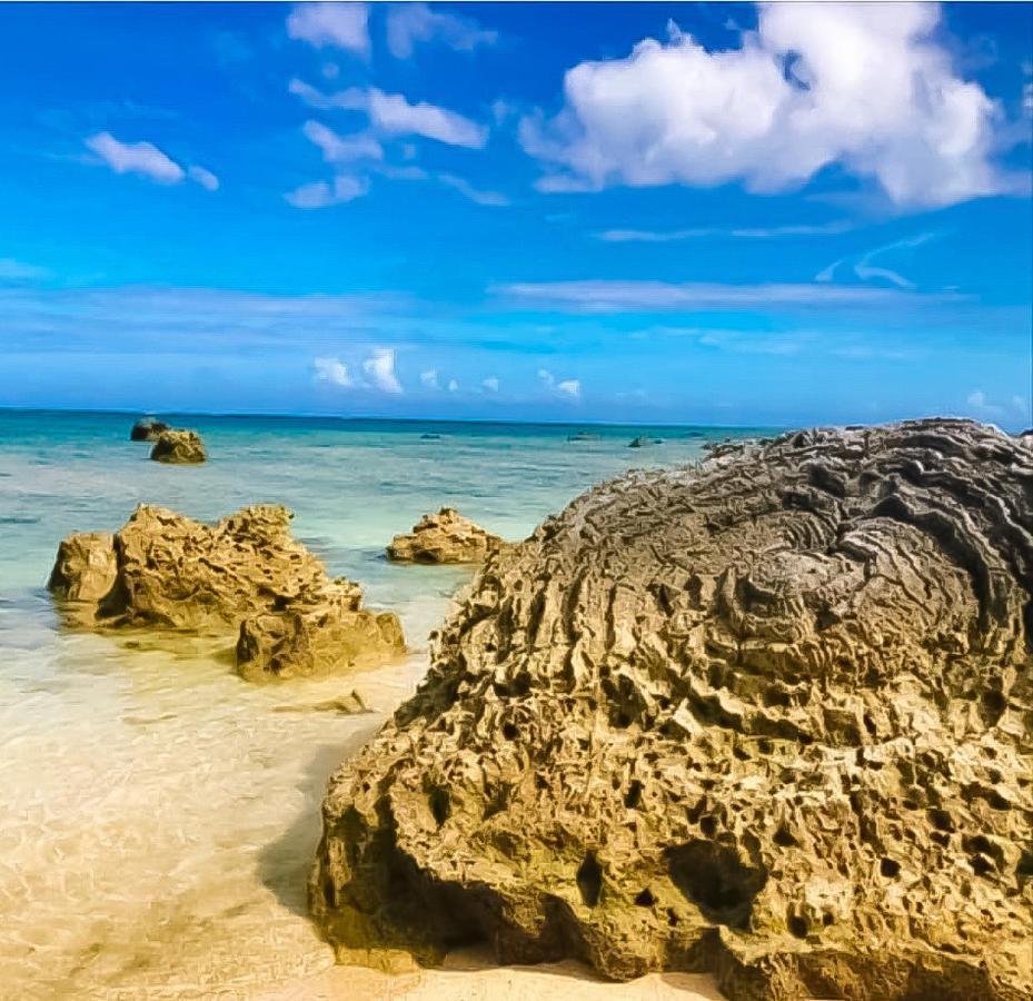 Ishigaki  Palm Villa Ishigakijima Yugafu מראה חיצוני תמונה